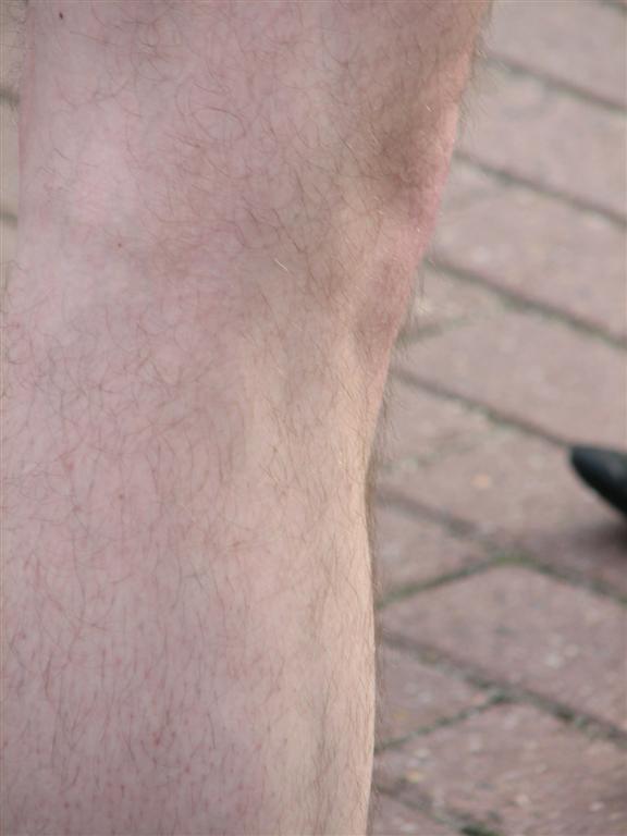 IMG_5901 (Large).jpg